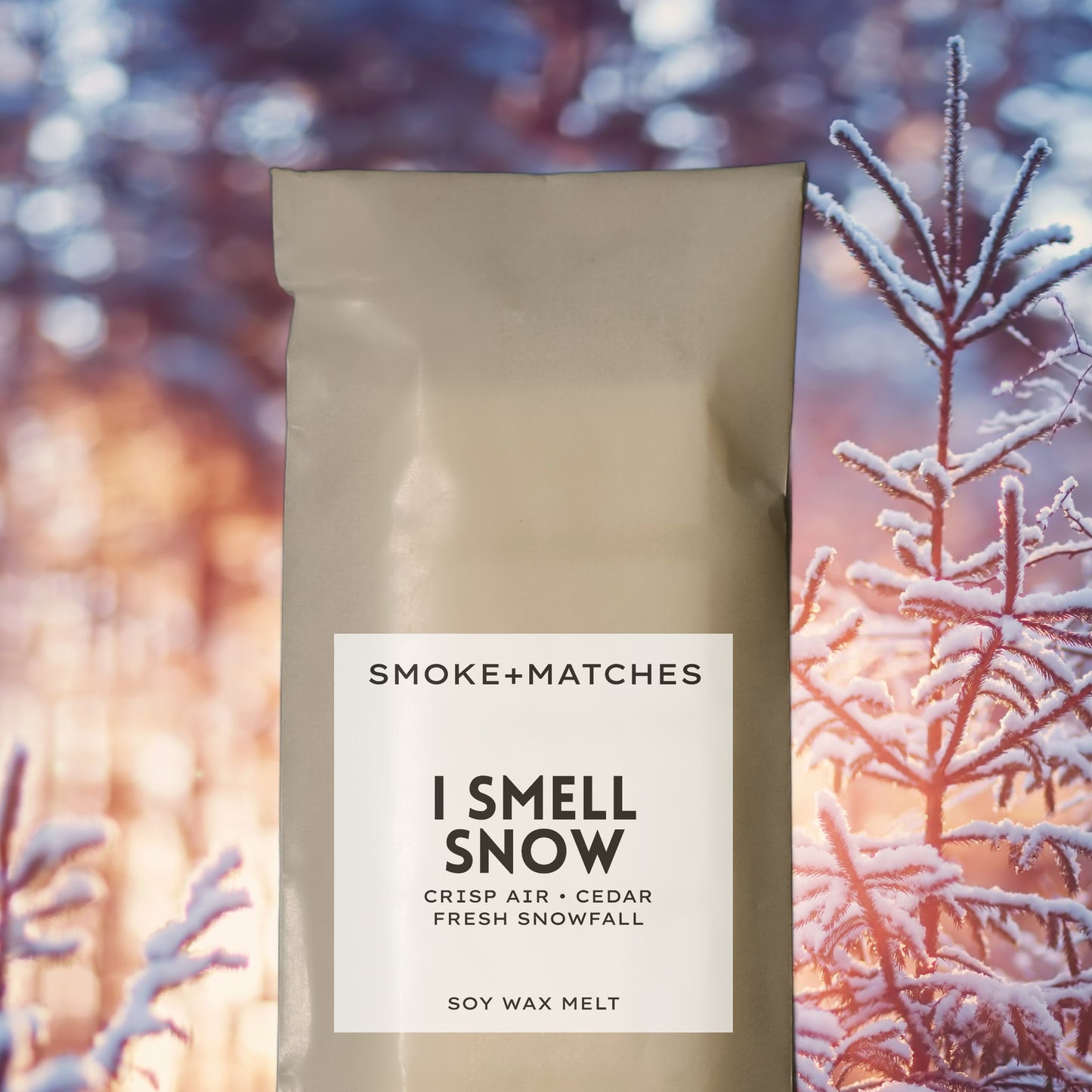 I Smell Snow - Wax Melt Snap Bar