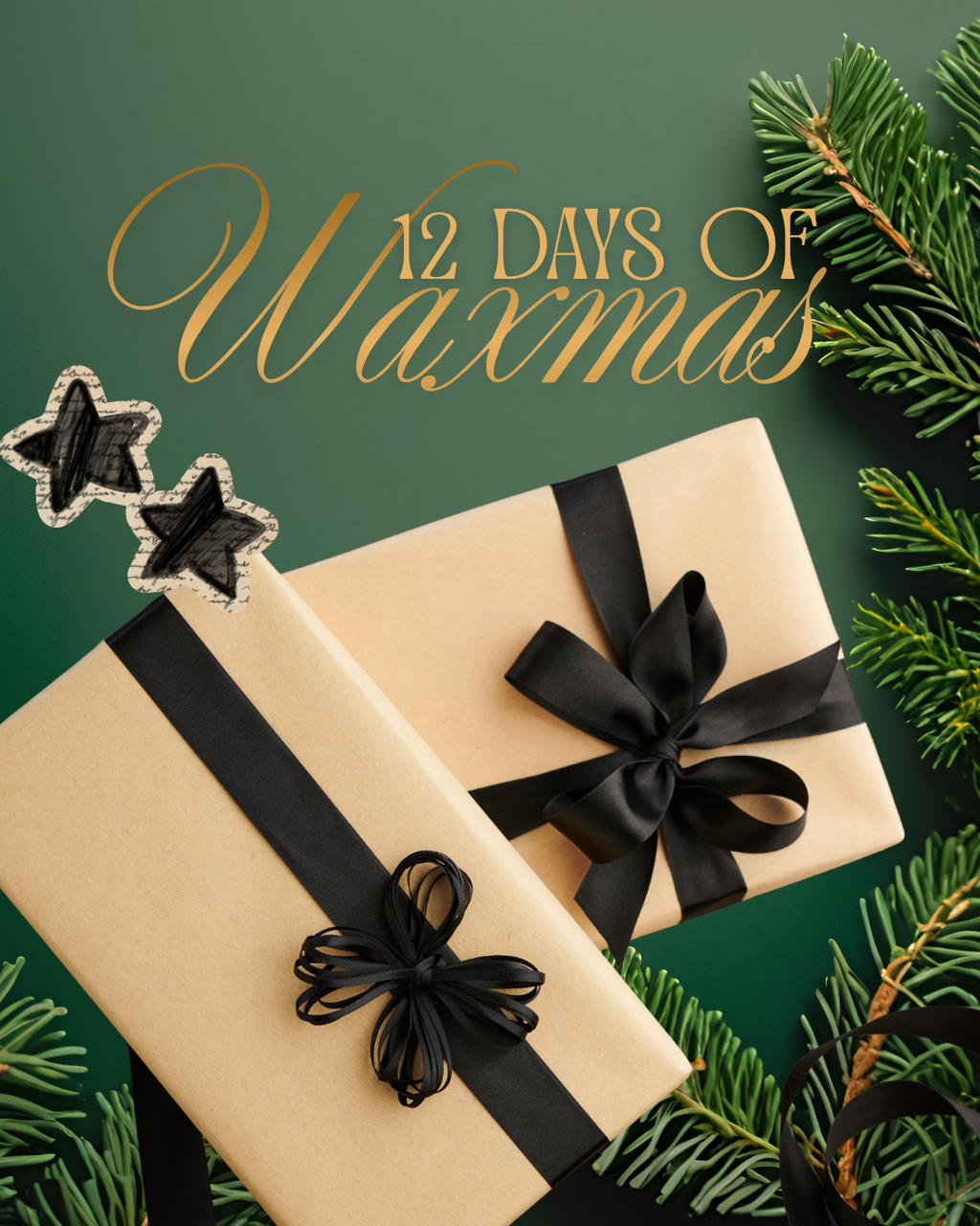 12 DAYS OF WAXMAS